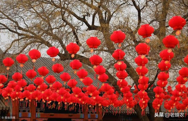 春节旅游去哪里？国内十大好去处推荐！