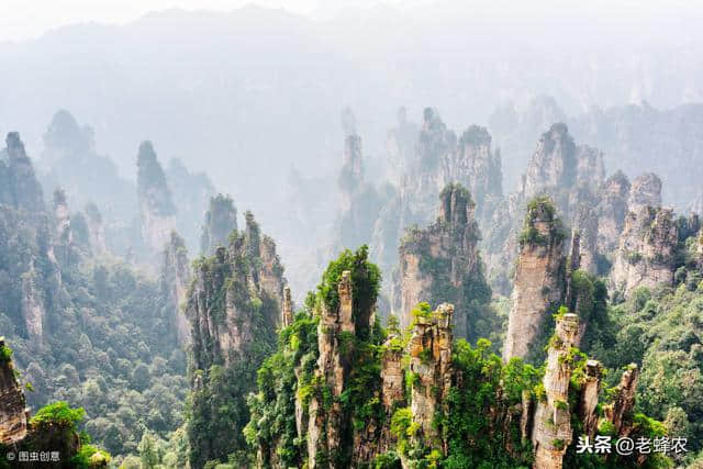 春节旅游去哪里？国内十大好去处推荐！