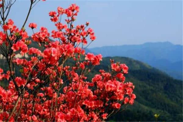 湖南永州位十大著名旅游景点，宁远文庙在整个国内都是很有代表性的儒家文化的建筑