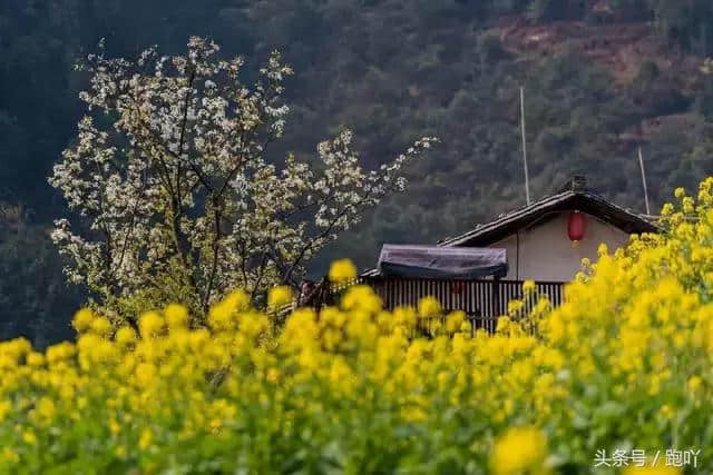 春天去哪里？2018春季最佳旅行地榜单