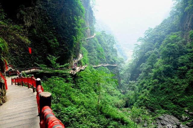 乐享森林——金佛山，神龙峡，黑山谷（重庆游之6 南川万盛）