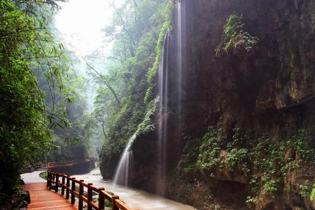 乐享森林——金佛山，神龙峡，黑山谷（重庆游之6 南川万盛）