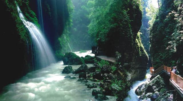 乐享森林——金佛山，神龙峡，黑山谷（重庆游之6 南川万盛）