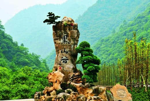 乐享森林——金佛山，神龙峡，黑山谷（重庆游之6 南川万盛）