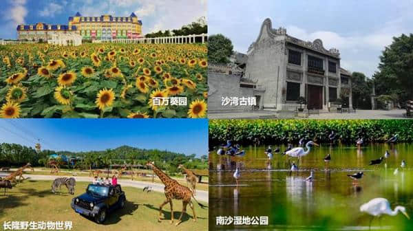 过年去广州吧 广州旅游推介会发布2019春节旅游线路