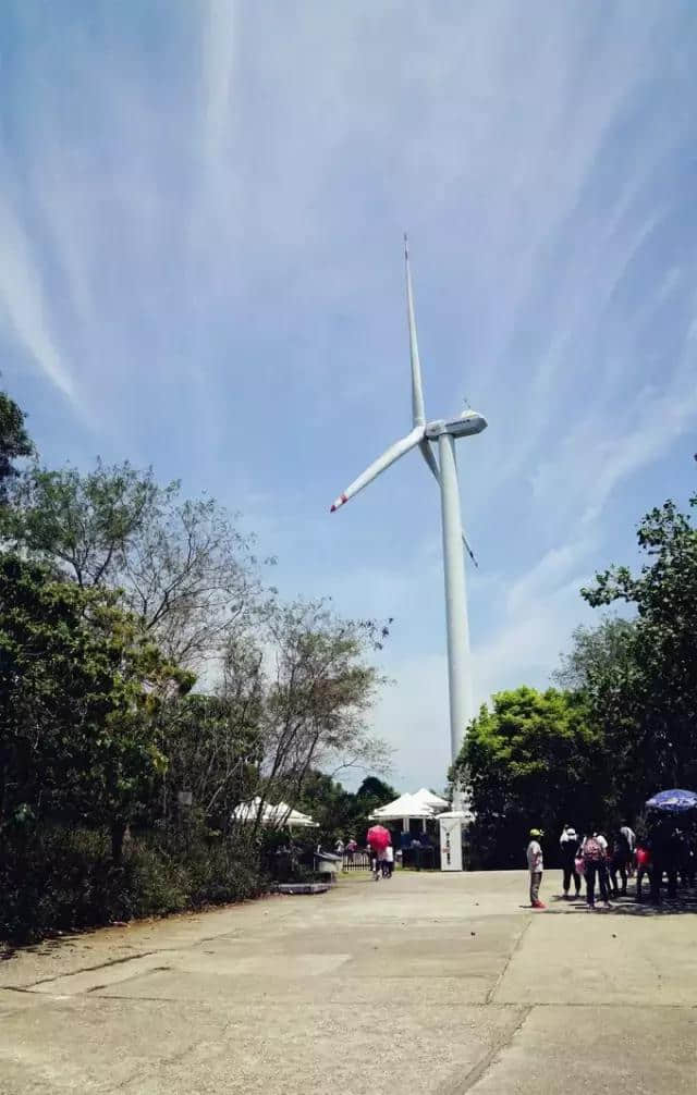 珠海史上最强海岛游玩攻略！！阳光，沙滩，比基尼，大海鲜......