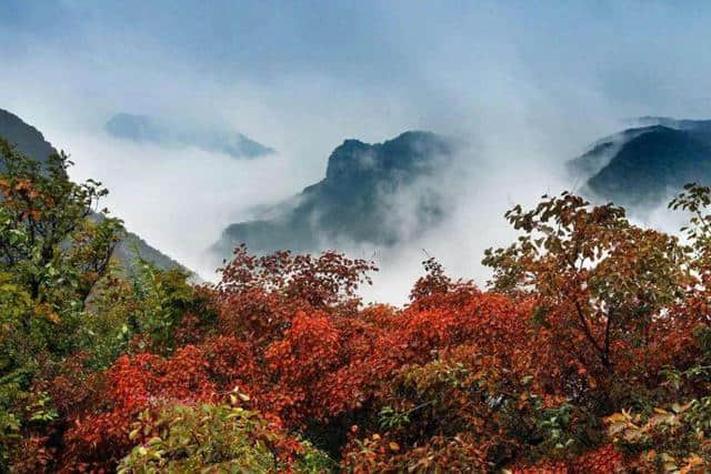 河南神农山旅游攻略：炎帝尝百草之处，道教老子飞升之所