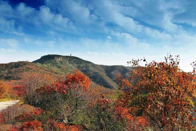 河南神农山旅游攻略：炎帝尝百草之处，道教老子飞升之所