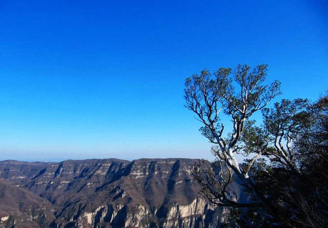 河南神农山旅游攻略：炎帝尝百草之处，道教老子飞升之所