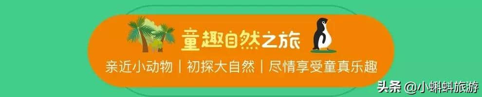 出国自由行最新攻略-暑期亲子游，怎么挑选更适合的目的地？