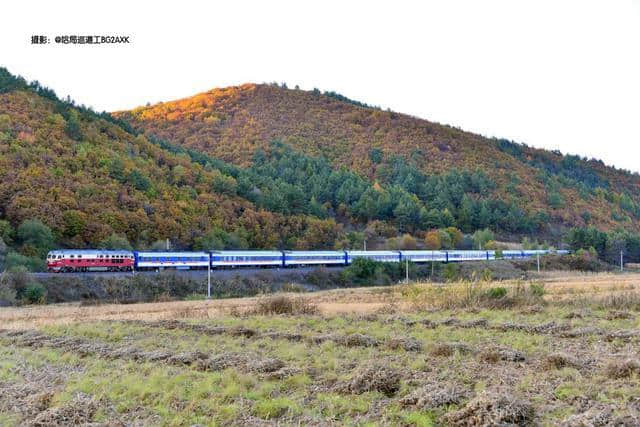 高铁游记：金秋游 黑龙江10条经典旅游线路带你看遍“五花山”