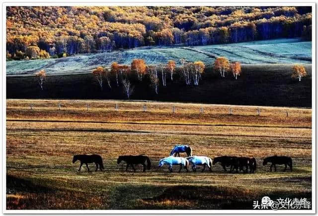 桦木沟国家公园——摄影爱好者的天堂，没听过没去过不要紧，攻略福利已送达～