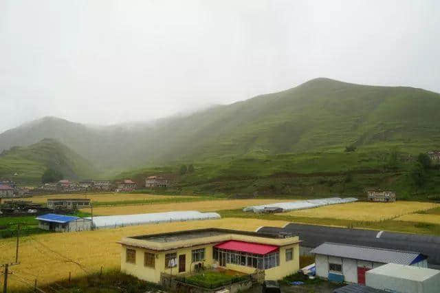 老司机带你游川西，一路避暑一路游山玩水！今夏就你会玩！