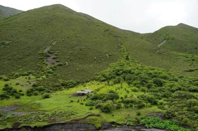 老司机带你游川西，一路避暑一路游山玩水！今夏就你会玩！