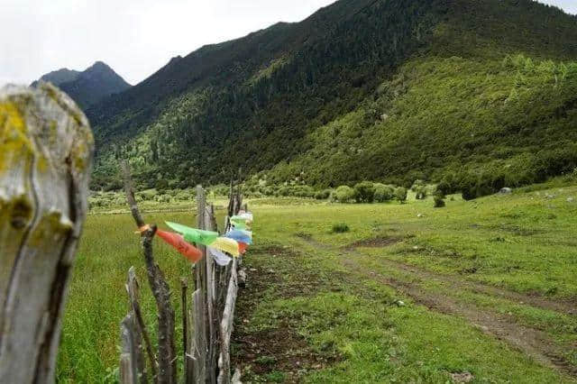 老司机带你游川西，一路避暑一路游山玩水！今夏就你会玩！