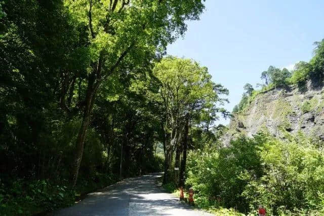 老司机带你游川西，一路避暑一路游山玩水！今夏就你会玩！