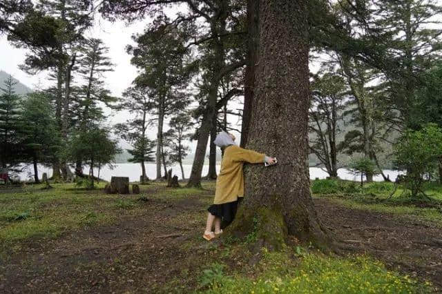 老司机带你游川西，一路避暑一路游山玩水！今夏就你会玩！