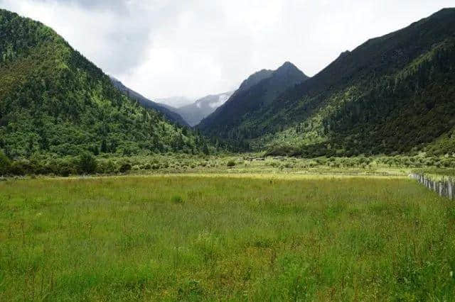 老司机带你游川西，一路避暑一路游山玩水！今夏就你会玩！