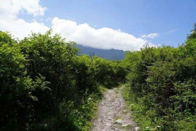 老司机带你游川西，一路避暑一路游山玩水！今夏就你会玩！