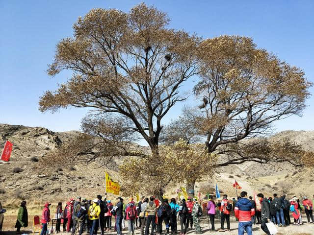 穿越贺兰山，开启新征程，石嘴山举行穿越贺兰山徒步活动