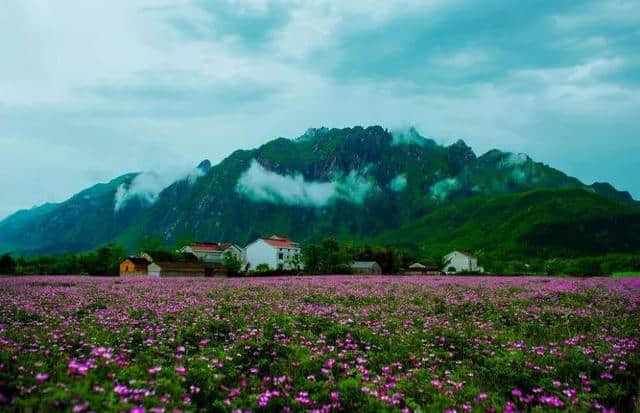 独家揭秘｜皖美乡村人间仙境神秘之旅，到底美在哪？