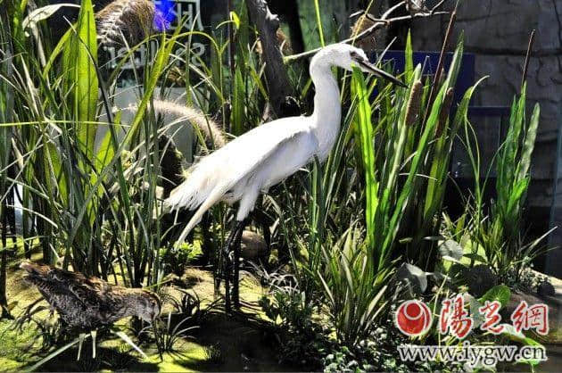 春游踏青 浐灞国家湿地公园自然风光一日游