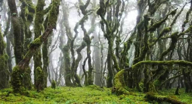 一份来自楚雄双柏本地人的旅居攻略，带你看山看水看山花烂漫！