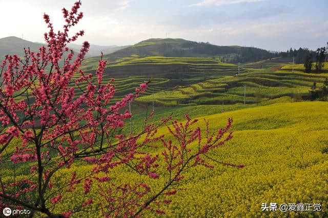 春天适合去哪里旅游_国内春季适合去什么地方玩