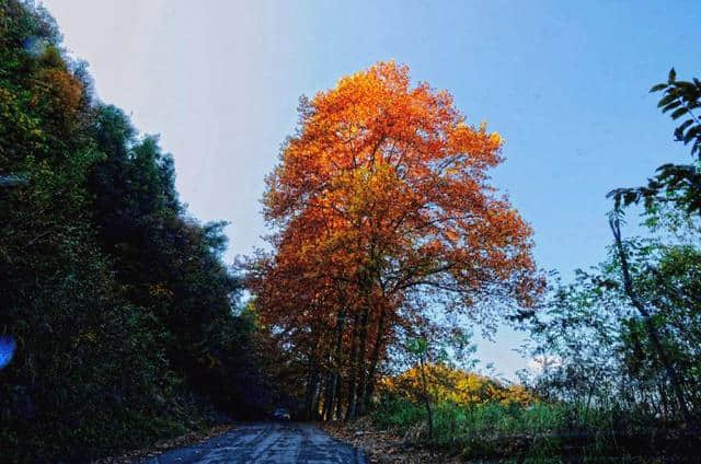 宜昌市大老岭徒步穿越路线攻略