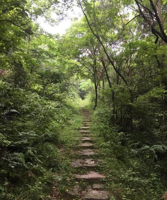 畅游义乌（二）｜探幽深古道，在青山绿水间体味那份心境