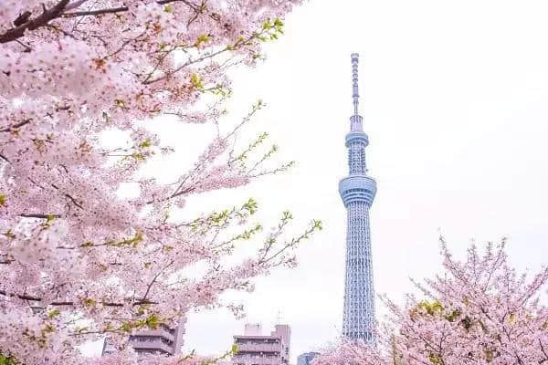 最火十大出境旅行地 你去过几个？