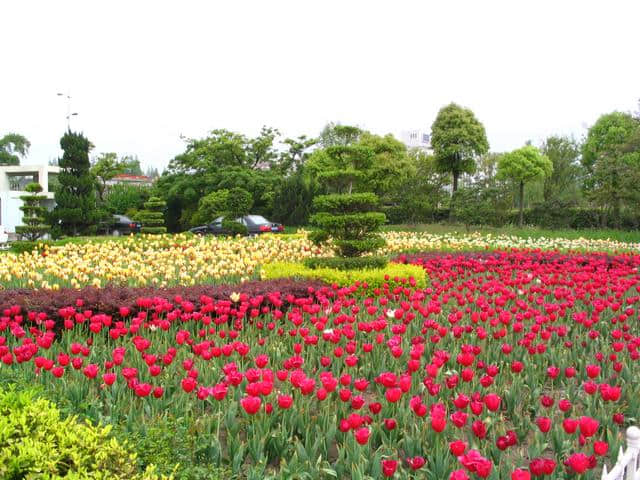 上海春季赏花攻略，最美赏花好去处