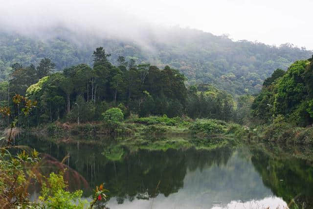 2019年春节去哪旅游（推荐地：海南）