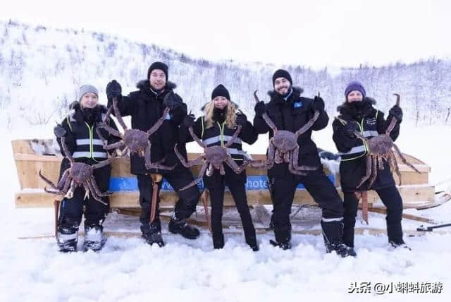 出国自由行最新游玩攻略-春节旅行最佳目的地推荐！