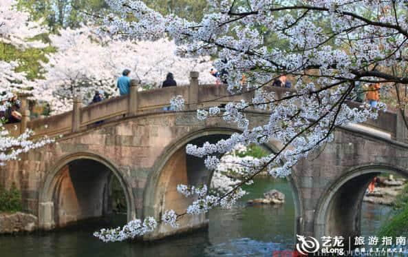 杭州 | 又到了整个城市就是花园的季节了