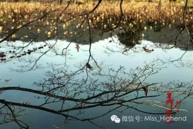 侯孝贤拍了一部湖北旅游宣传片，别说你不知道