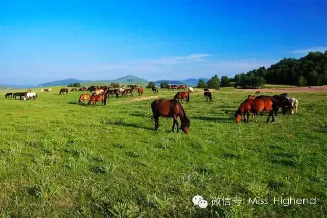 侯孝贤拍了一部湖北旅游宣传片，别说你不知道