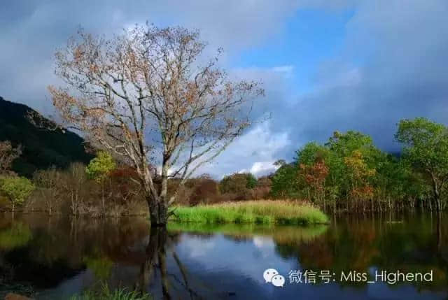 侯孝贤拍了一部湖北旅游宣传片，别说你不知道