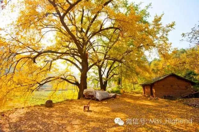 侯孝贤拍了一部湖北旅游宣传片，别说你不知道