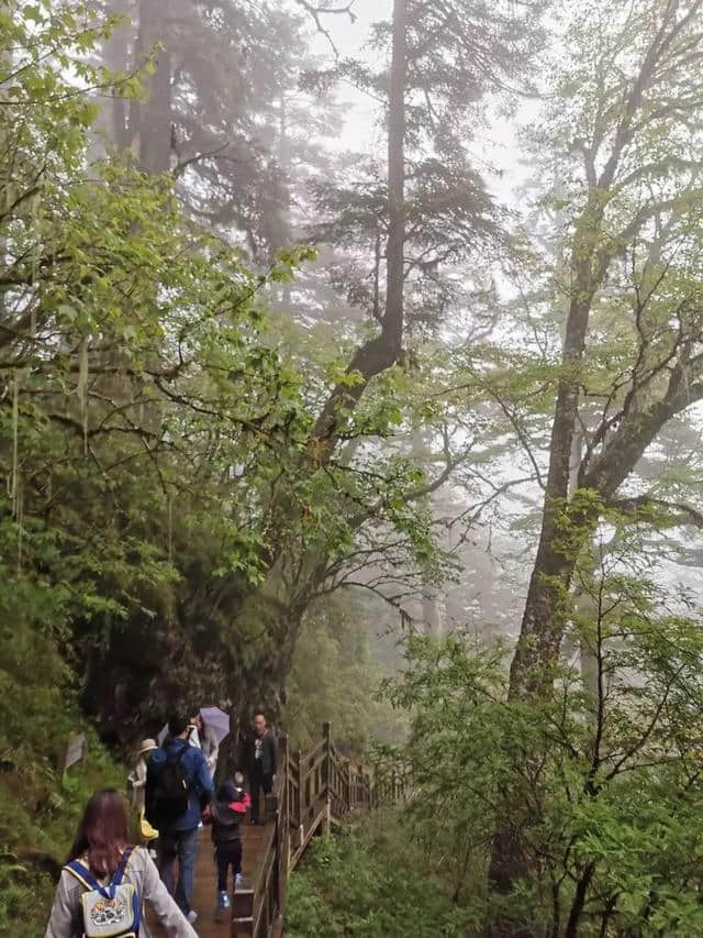 旅行，无问年龄：连载大叔川西游记（一）