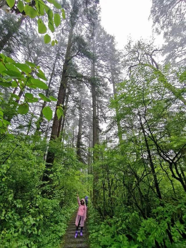 旅行，无问年龄：连载大叔川西游记（一）