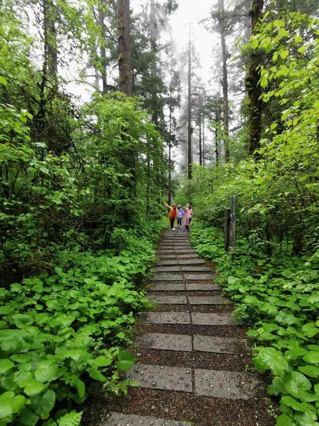 旅行，无问年龄：连载大叔川西游记（一）