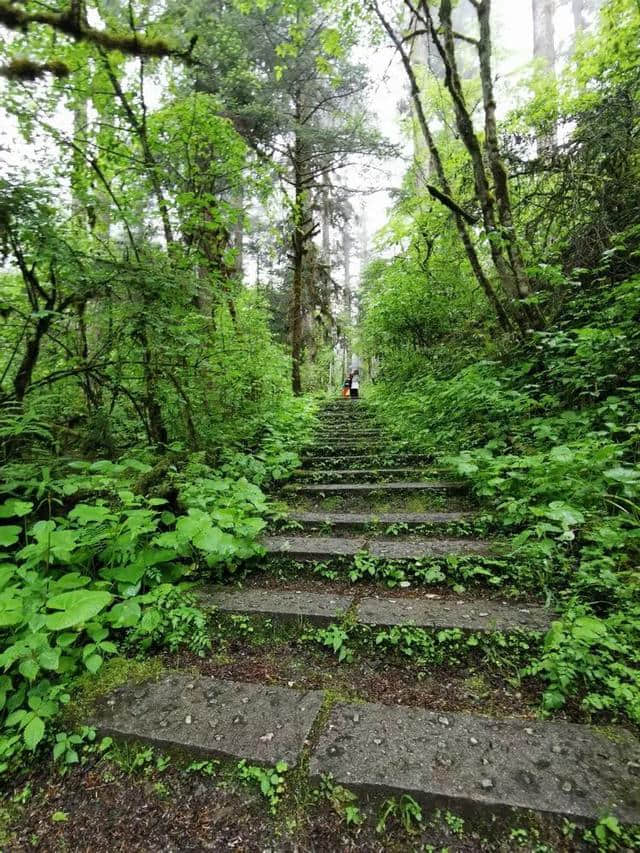 旅行，无问年龄：连载大叔川西游记（一）