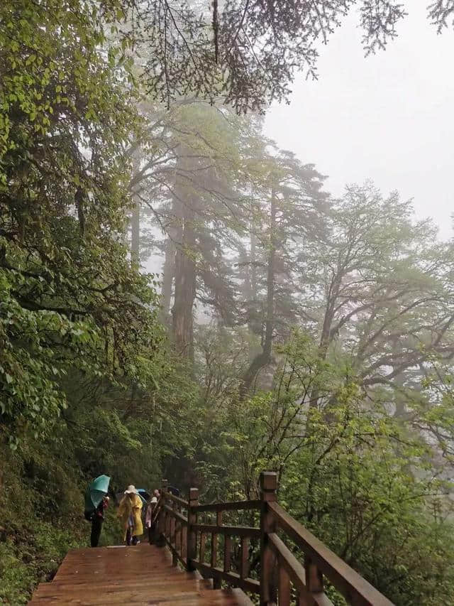 旅行，无问年龄：连载大叔川西游记（一）