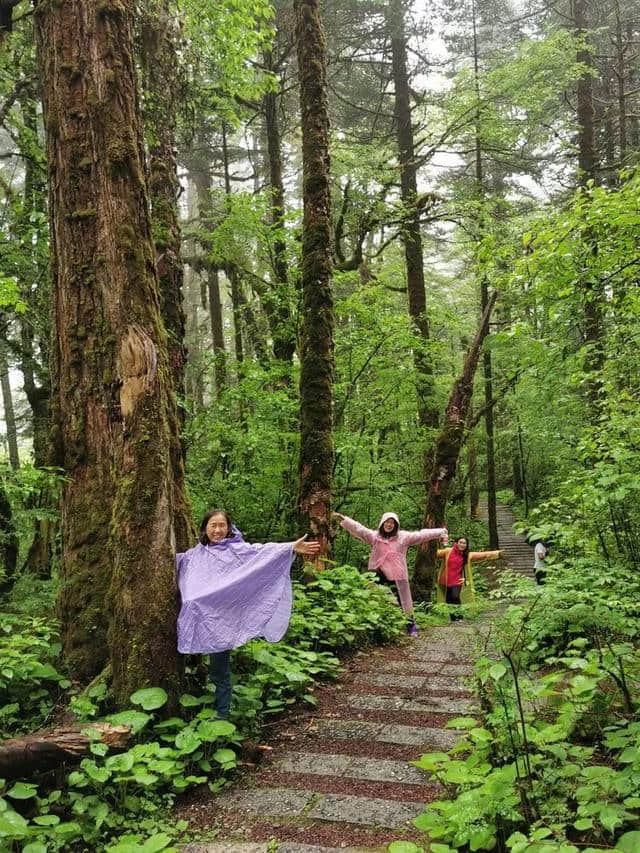 旅行，无问年龄：连载大叔川西游记（一）