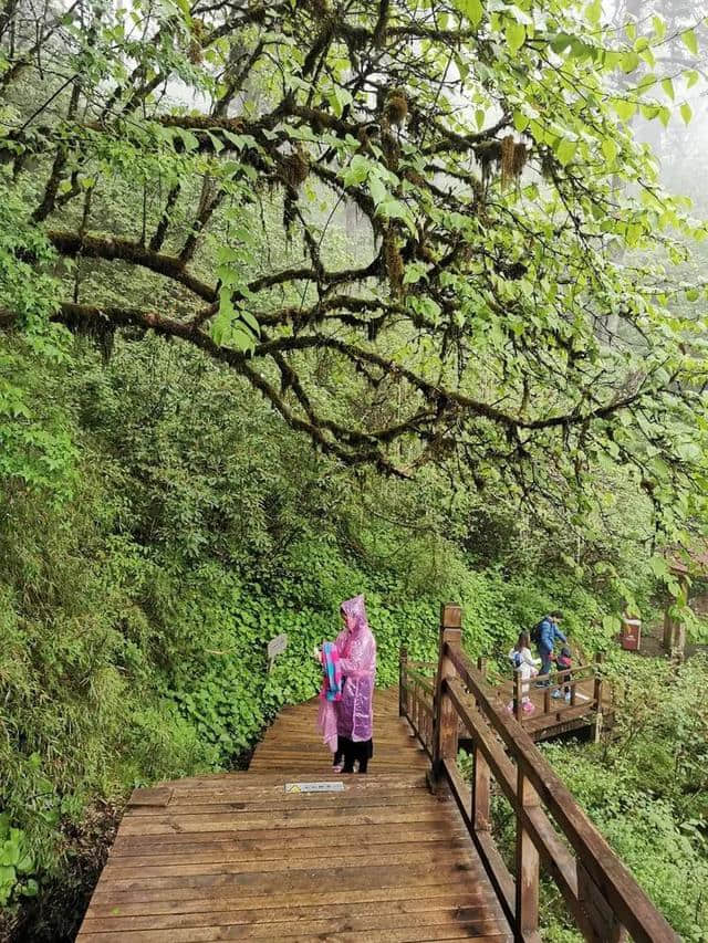 旅行，无问年龄：连载大叔川西游记（一）