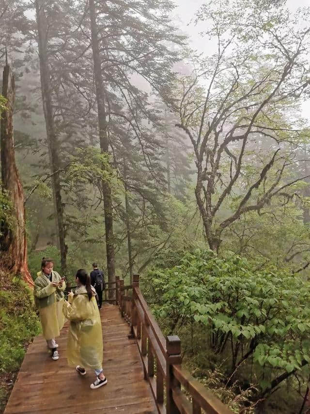 旅行，无问年龄：连载大叔川西游记（一）