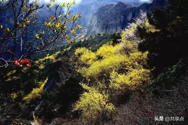 春风十里，3月春游踏青好去处