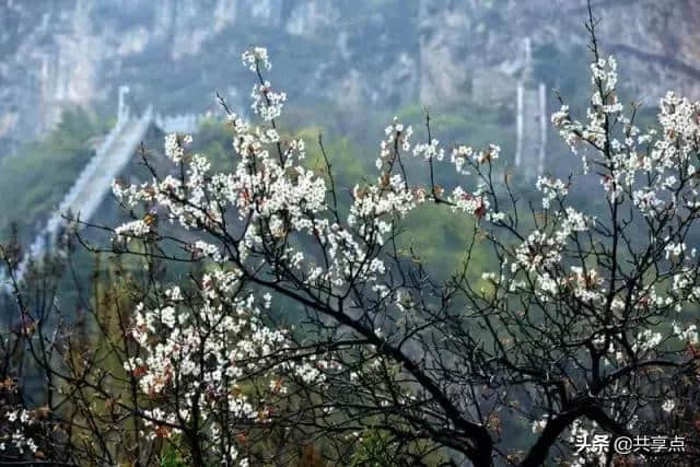 春风十里，3月春游踏青好去处