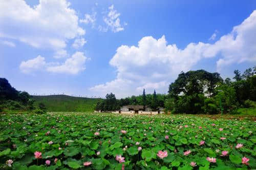 湖南益阳旅游路线完全攻略